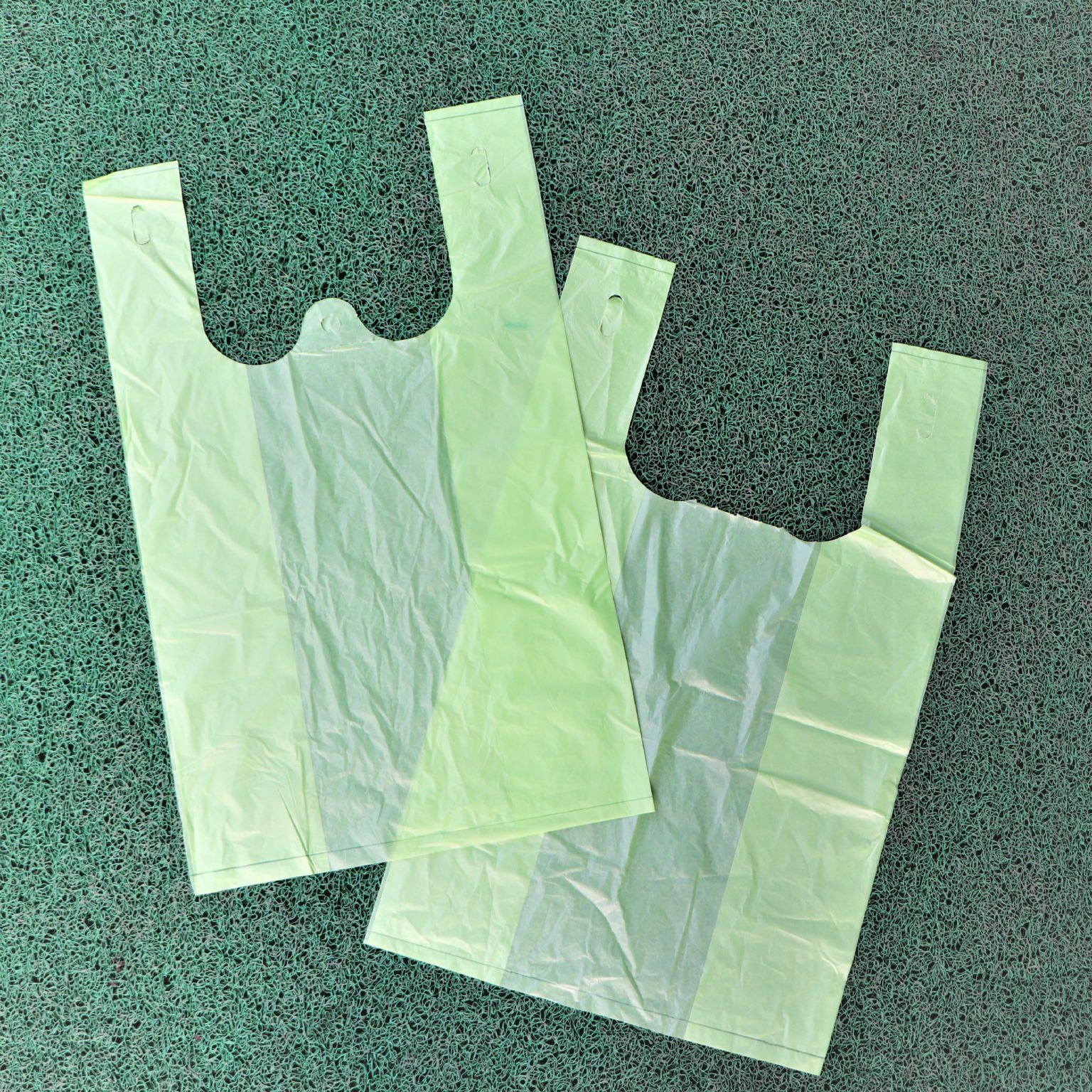 Biodegradable And Compostable Carry Bags Manufacturers NaturTrust