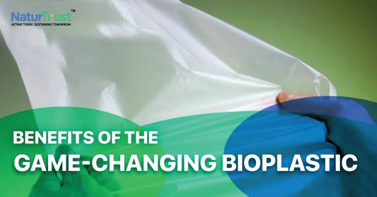 eco-friendly biodegradable bags
