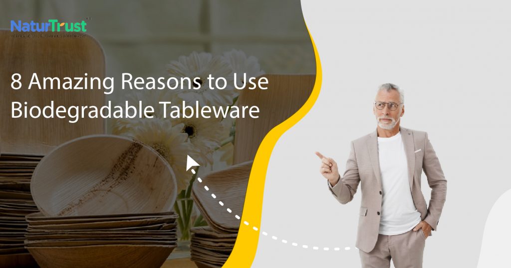 biodegradable tableware